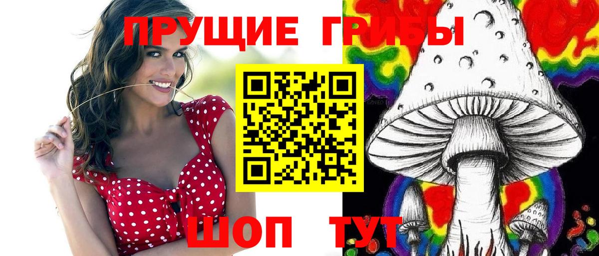Кизляр  Псилоцибиновые грибы мицелий  Псилоцибиновые грибы мицелий  Вход с VPN 